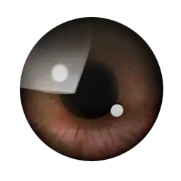 宝宝眼睛颜色预测工具